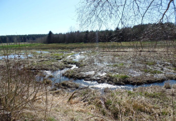 Udendørs foto taget fra en hytte med udsigt over vådområde, små vandløb og eng med træer i baggrunden.