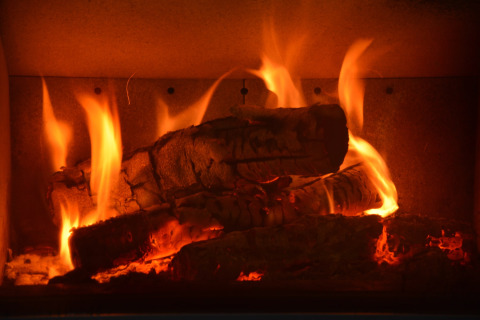 Een knusse open haard met brandend hout in chalet 'Mise Au Vert' in België zorgt voor een warme sfeer.