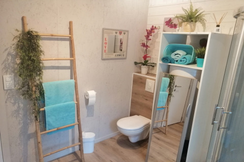 Moderne badkamer bij Chatillon 67 in België, ingericht met planten, een spiegel en turquoise handdoeken.