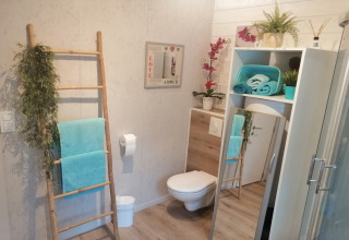 Moderne badkamer bij Chatillon 67 in België, ingericht met planten, een spiegel en turquoise handdoeken.