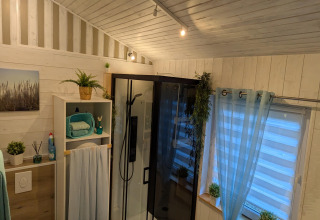 Badkamer in Chatillon 67-lodge in België, lichte houten muren, douche, planten en een raam met gordijn.