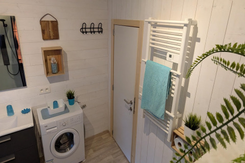 Moderne badkamer in lodge Chatillon 67 in België met wasmachine, handdoekradiator en planten.