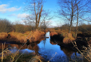 Uitzicht op moeraslandschap met beekje en droog gras bij lodge Chatillon 67 in België onder blauwe lucht.
