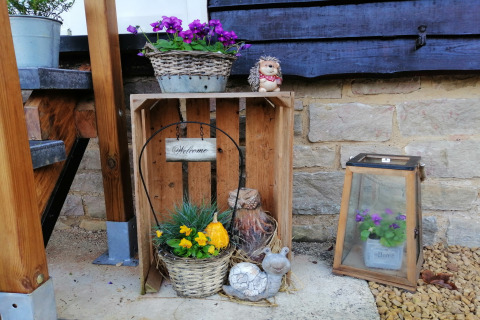 Decoratieve houten krat met bloemen, planten en beeldjes bij Chatillon 67-lodge in België, sfeervol.