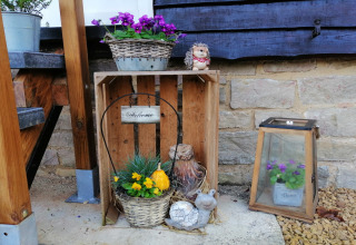 Decoratieve houten krat met bloemen, planten en beeldjes bij Chatillon 67-lodge in België, sfeervol.