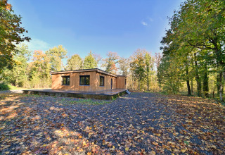 Moderne træhytte Chalet «DES BOIS» i Belgien, omgivet af farverige efterårstræer under blå himmel.