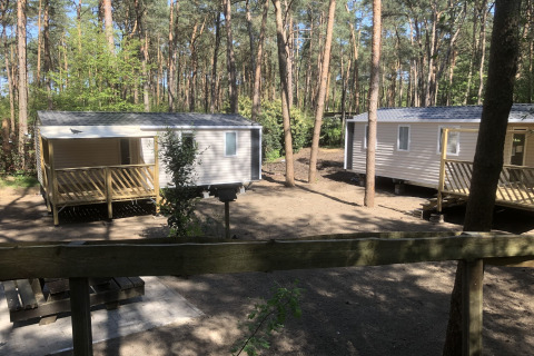 Deux chalets dans la forêt au « Vlaamse gaai » en Belgique, entourés de grands arbres et de nature.
