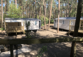 Deux chalets dans la forêt au « Vlaamse gaai » en Belgique, entourés de grands arbres et de nature.