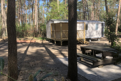 Chalet 'Vlaamse gaai' in België, gelegen in een bos, met veranda en picknicktafel op open plek.