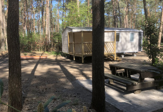 Chalet 'Vlaamse gaai' in Belgio immerso nei boschi, con veranda e tavolo da picnic vicino alla natura.