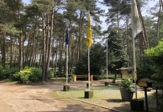 Indgang til glampingområde i skov, med flagstænger, informationsskilte og grønne omgivelser.
