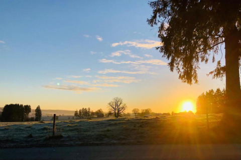 Alba su un prato tranquillo presso un glamping, con alberi e cielo azzurro punteggiato di nuvole.