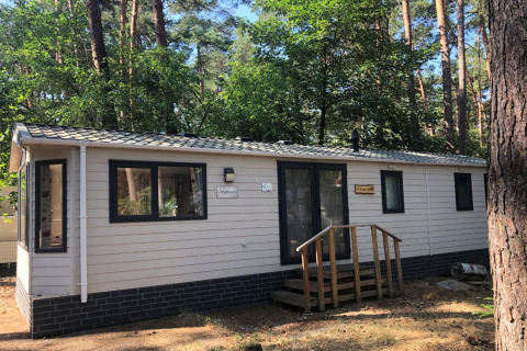 Photo d’un chalet nommé 'Koperwiek' en Belgique, entouré de pins et de nature lors d’une journée ensoleillée.