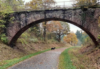 Puente de piedra arqueado sobre un sendero con árboles otoñales y un perro, ideal para glamping.