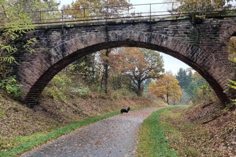 Ponte in pietra ad arco sopra un sentiero con alberi autunnali e un cane, ideale per il glamping.