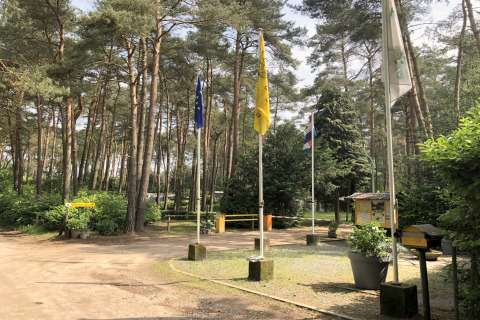 Toegang tot lodge Sijs in België met bomen, vlaggen en natuur rondom, in een rustige omgeving.