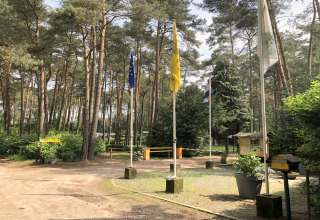Toegang tot lodge Sijs in België met bomen, vlaggen en natuur rondom, in een rustige omgeving.