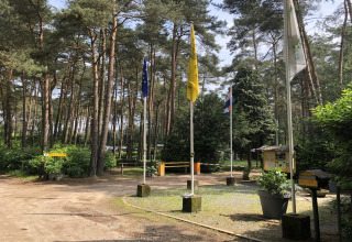 Ingresso del lodge Sijs in Belgio, alberi, bandiere e natura rigogliosa che crea un'atmosfera serena.
