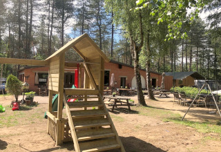 Speelplein en zitplek bij een glamping-accommodatie omgeven door bos en bomen op een zonnige dag.