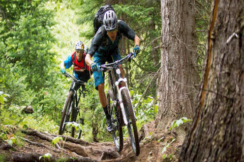 Deux personnes font du VTT sur un sentier forestier accidenté lors d'un séjour en glamping.