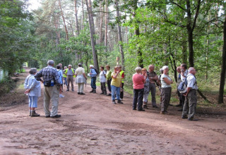 Eine Gruppe Erwachsener steht auf einem Waldweg bei einer Glamping-Unterkunft im Grünen.