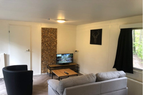 Soggiorno nel lodge 'Ekster' in Belgio con divano grigio, TV, decorazione in legno e finestra ampia.