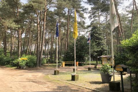 Entrée d’un site de glamping en forêt de pins avec des drapeaux, des panneaux et une barrière visible.