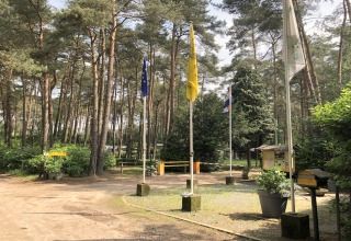 Toegang tot een glampinglocatie in het bos met vlaggen, infozuil en borden tussen de bomen.