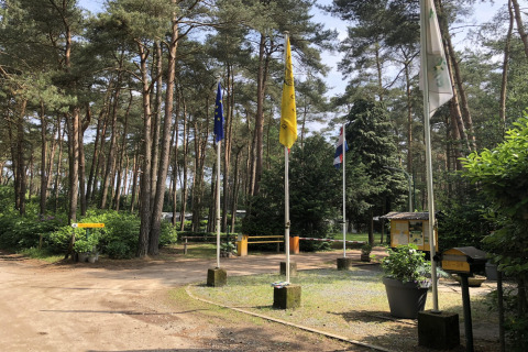 Ingresso di un campeggio glamping in una pineta con bandiere, cartelli informativi e alberi alti.