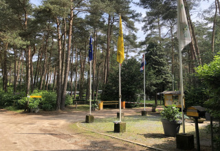 Entrée d’un site de glamping en forêt de pins avec des drapeaux, des panneaux et une barrière visible.