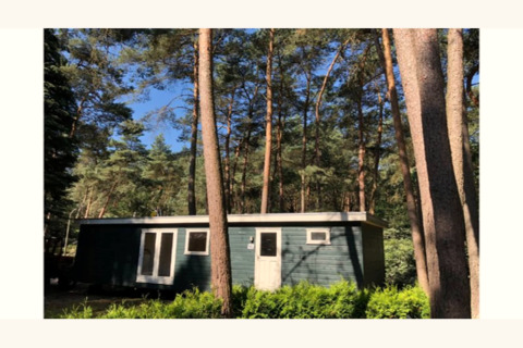 Photo du lodge Ekster en Belgique, entouré de hauts pins et de verdure sous un ciel bleu et dégagé.