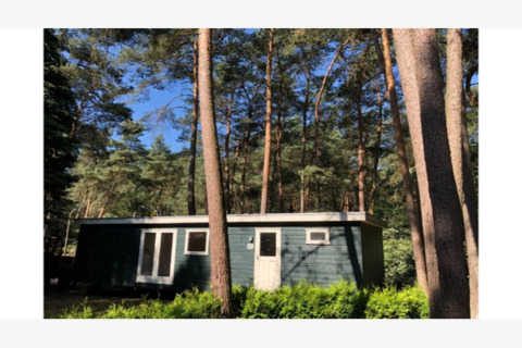 Photo du lodge Ekster en Belgique, entouré de hauts pins et de verdure sous un ciel bleu et dégagé.
