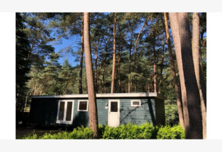 Foto della lodge Ekster in Belgio, circondata da alti pini e vegetazione verde sotto un cielo sereno.