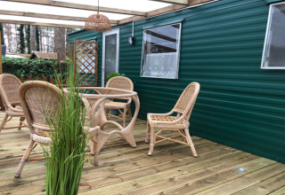 Terrasse extérieure du chalet «Specht» en Belgique avec meubles en osier, mur vert et plantes.
