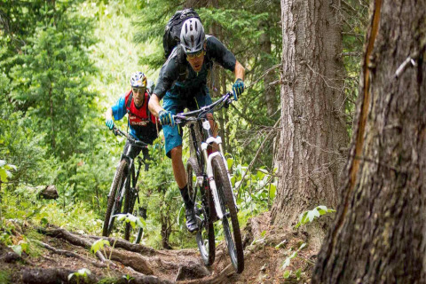 Deux cyclistes font du VTT sur un sentier forestier accidenté, entourés de verdure près d’un lodge.
