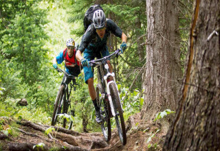Due persone fanno mountain bike su un sentiero boscoso con radici, circondati dal verde vicino a un lodge.