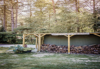 Photo d’un abri à bois rempli de bûches, entouré d’arbres, prise dans un hébergement de glamping en forêt.