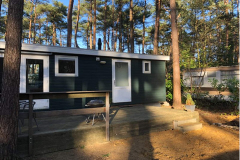 Le lodge Koolmees en Belgique, entouré de grands arbres et doté d'une terrasse en bois ensoleillée.