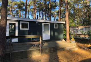 Le lodge Koolmees en Belgique, entouré de grands arbres et doté d'une terrasse en bois ensoleillée.