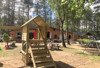Zona de juegos y mesas al aire libre en la cabaña Koolmees en Bélgica, rodeada de árboles altos.