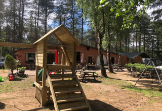 Outdoor playground and picnic area at Koolmees lodge in Belgium, surrounded by trees and sunshine.
