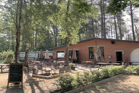 Área de asientos al aire libre en un albergue con mesas, sillas y sombrillas rodeada de bosque.