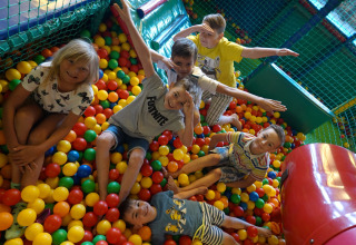 Kinderen spelen vrolijk in een kleurrijke ballenbak binnen een lodge en hebben veel plezier samen.