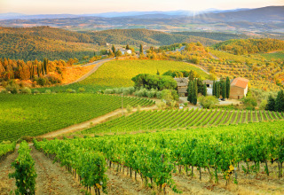 Paysage toscan, Toscane, Italie