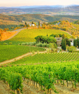 Paisaje toscano, Toscana, Italia