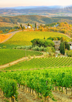 Paisaje toscano, Toscana, Italia