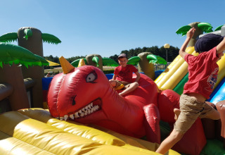 Kinderen spelen op een opblaasbare dinosaurusglijbaan buiten op een zonnige dag met palmbomen.