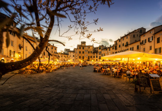 Torv om aftenen, Lucca, Toscana, Italien