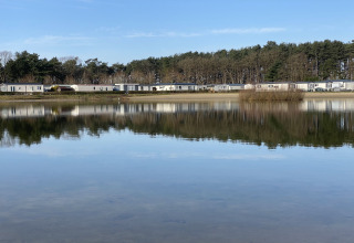 Uitzicht op een rustige vijver met reflectie van bomen en lodges bij Verblijfpark Breebos 4 in België.
