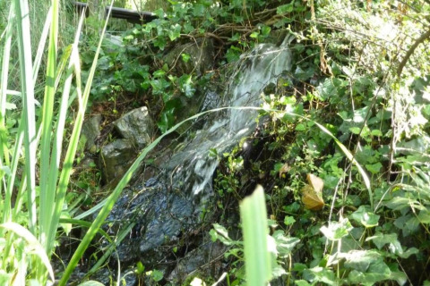 Kleine waterval tussen stenen en groene planten bij Verblijfpark Breebos 4 in België.